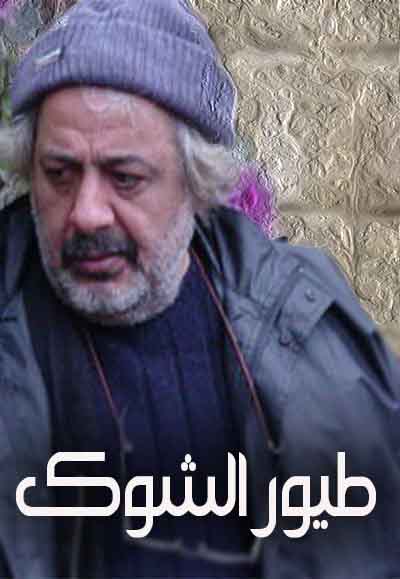 طيور الشوك